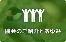 ΤҲȤ